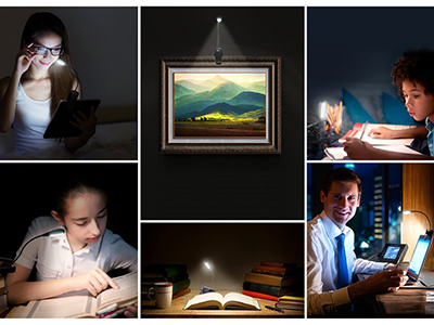 5 LED Book Light